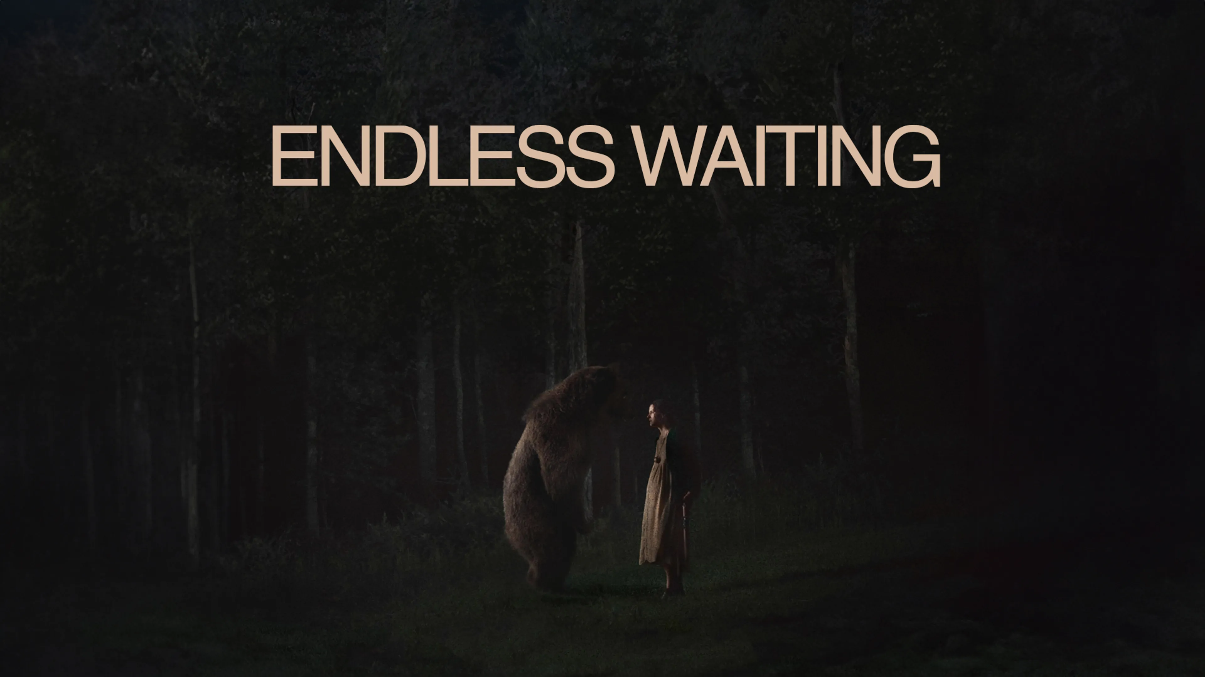 Endless Waiting poster
